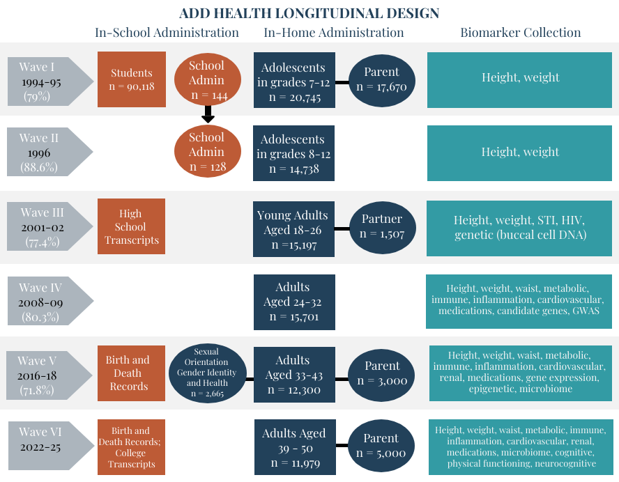 design Add Health study design Wave 1 to Wave 6. Includes response rate, number of participants per wave, biomarker collection, and additional participants such as partners interview (Wave 3) and parents interview (Wave 1, Wave 5, Wave 6).