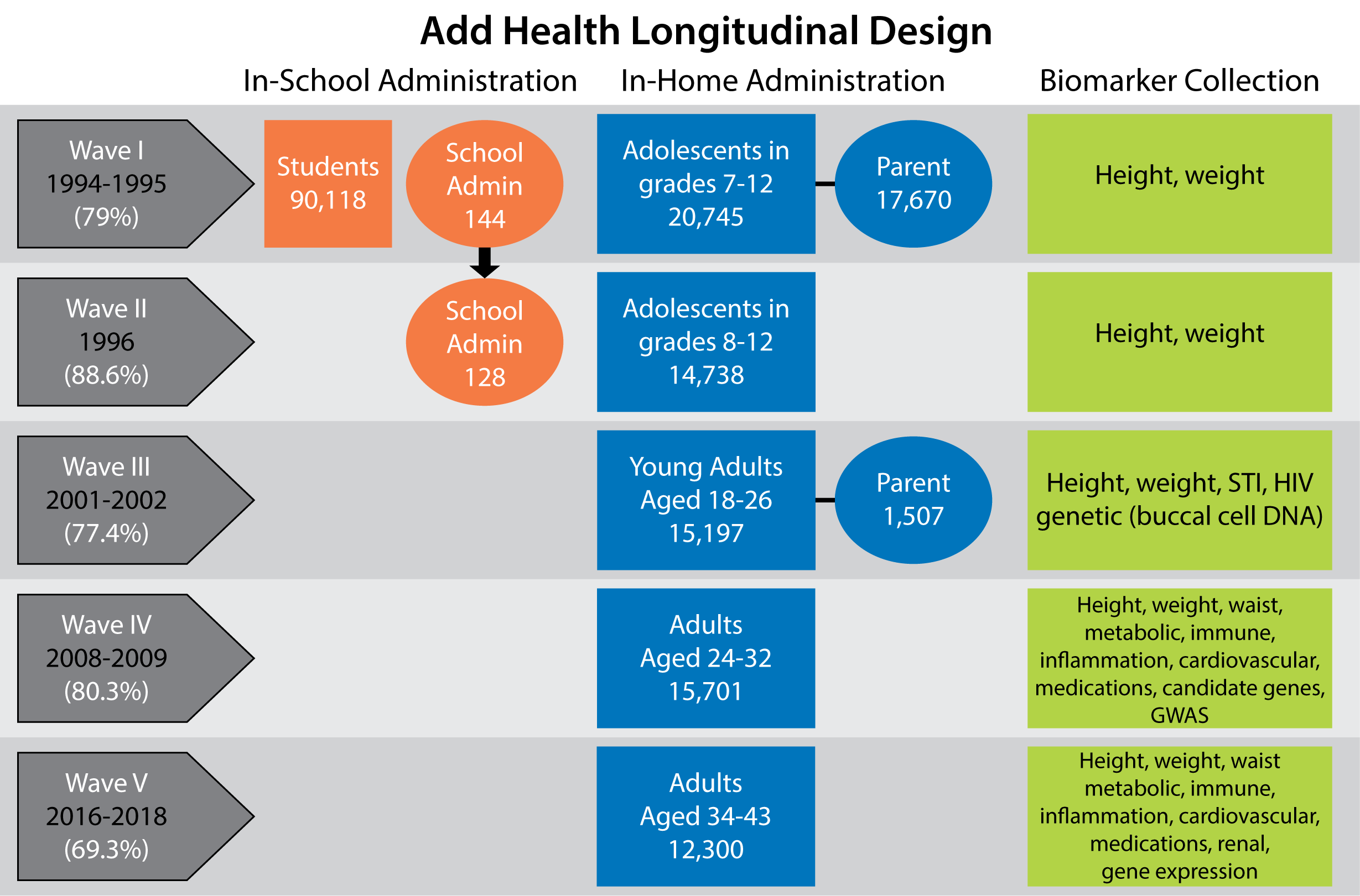 study design