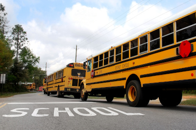 School buses on road